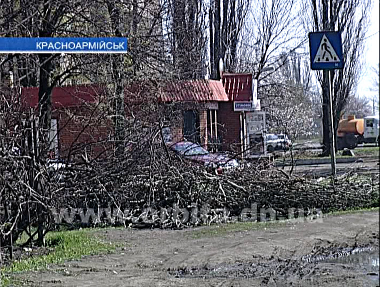 Мусорные свалки – дело рук горожан?