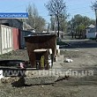 В Красноармейске похищают мусорные контейнеры
