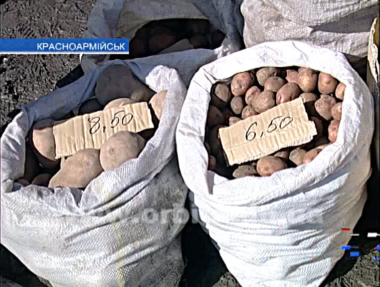 Цены кусаются, а народ продуктами запасается