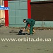 В Димитрове снова работали «Животные в городе»