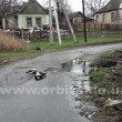 За автомойкой на улице Днепропетровской местные жители нашли трех мертвых собак