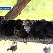 Агрофирма «Дружба» - лидер сельхозпредприятий региона