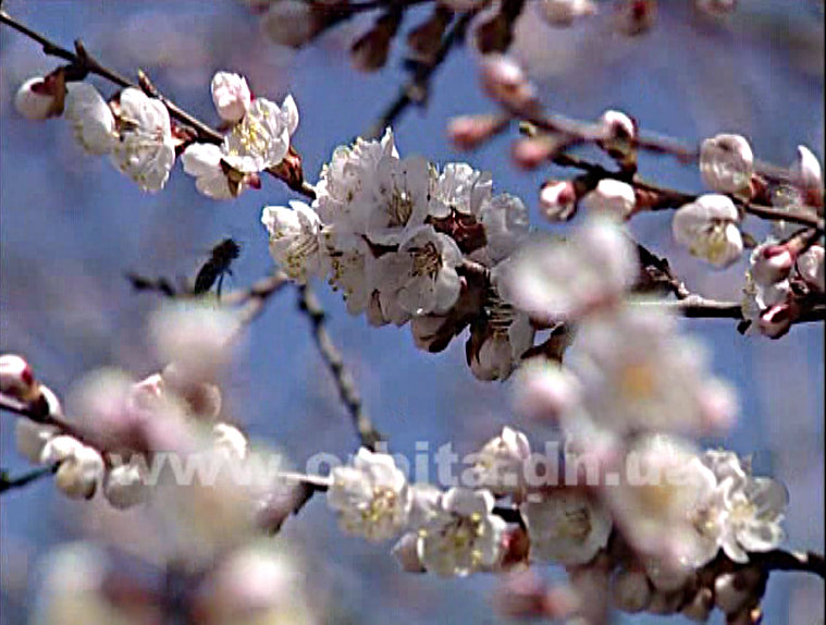 Новый взгляд 25.05.14