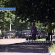 Тополиный пух, жара… май