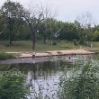 utoplenik