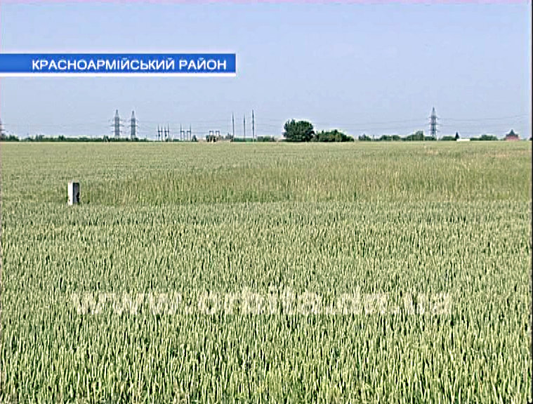 Посевная кампания в Красноармейском районе прошла по графику