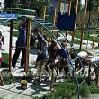 Димитровской акции «Чистый город» - 5 лет