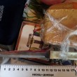 PM69image002