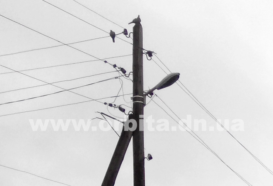 elektrichestvo