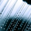rain-water