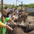 zoopark14