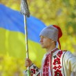 1413288242_d (1)
