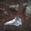 PM187image002