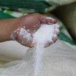 sahar