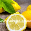 Что нужно кушать, чтоб не простудиться