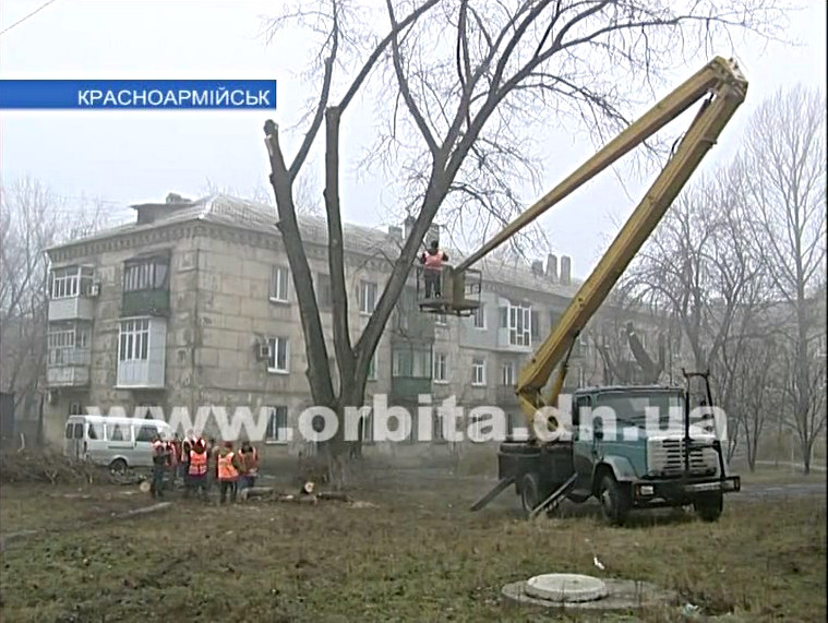 Старые деревья еще нас порадуют… после планового омоложения