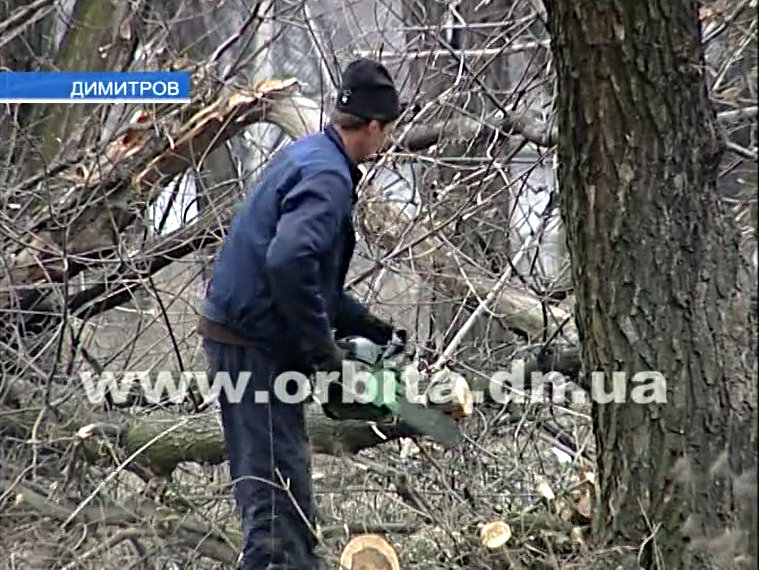 В Димитрове омолаживают деревья на окраинах города