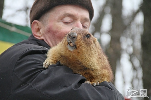 surok_Timka