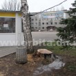 bereza_3