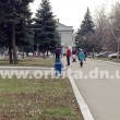 krokus_9
