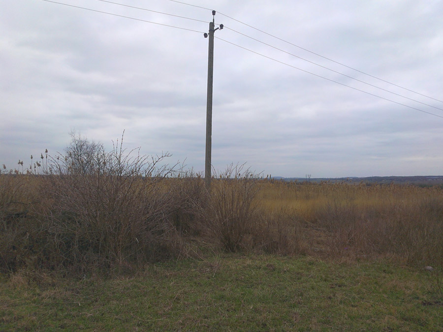 pole