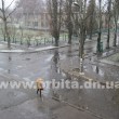 vesna_sneg