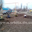 В Димитрове высаживают 5 тысяч кустов роз