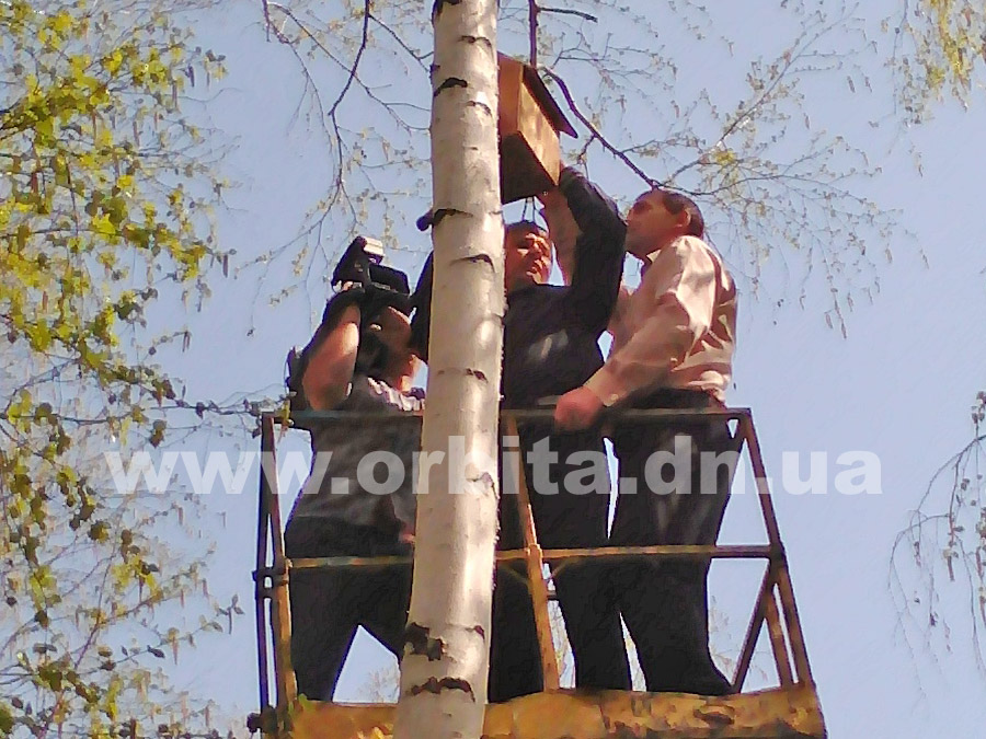 dimitrov_skvorechnik1