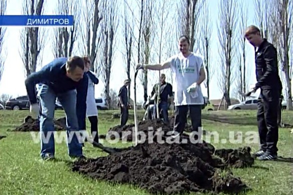 В Димитрове начали масштабную высадку деревьев