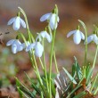 pogoda_vesna