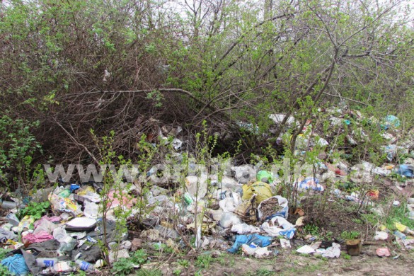 Жители микрорайона «Лазурный» в Красноармейске жалуются на стихийную свалку