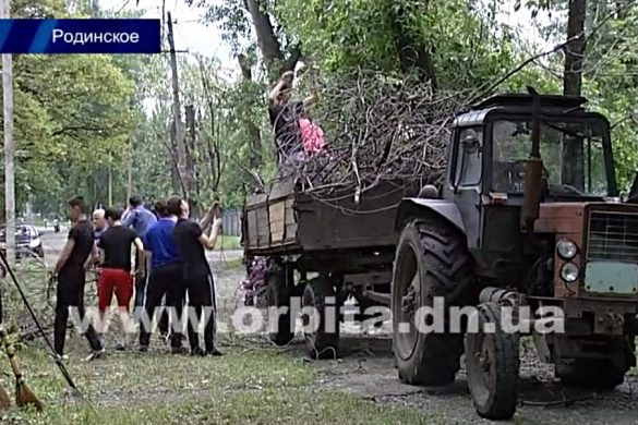 По инициативе Сергея Федорова жители Родинского привели в порядок городской парк