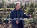 Пополним наш дачный участок новыми деревьями