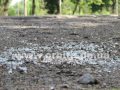 Родственники потерпевших в аварии 28 июня ищут свидетелей