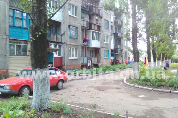 Rodinskoe5