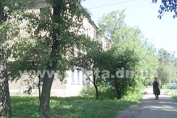 Svet_Dinas_Tamanova3