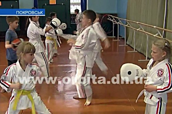 Покровские каратисты успешно выступили на Чемпионате Украины
