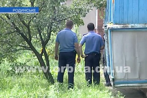 police_rodinskoe