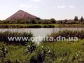 ryba_4_stavok_1