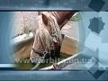 Новый взгляд 17.07.2016