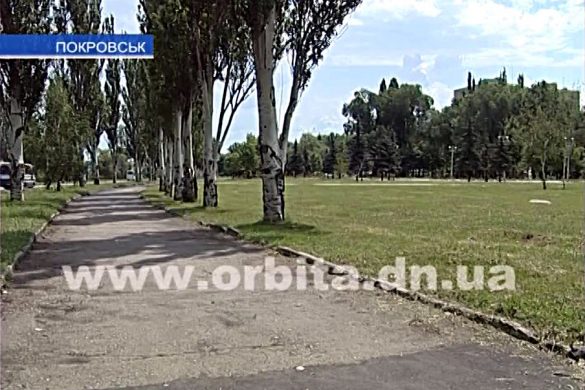 В Покровске не стихает шум от бензокос