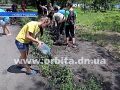 Для новогродовских подростков организовали летние работы