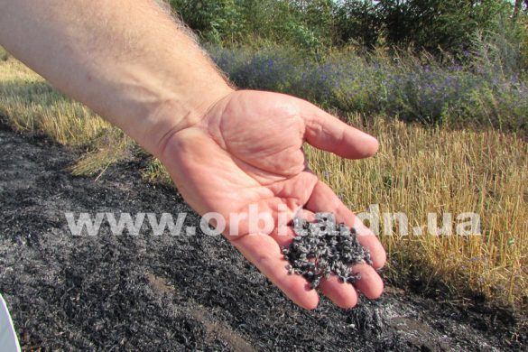В Покровском районе сгорел урожай пшеницы на 200 тысяч гривень