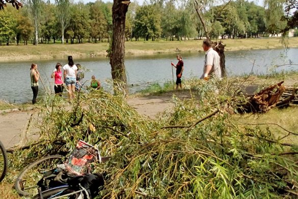 Переселенцы вышли на уборку Покровска