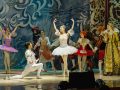 balet_krasavica_28