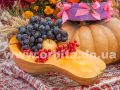 mirnograd_osen_2