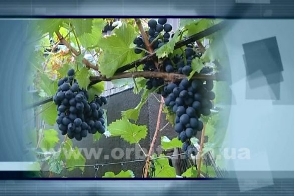 Новый взгляд 25.09.2016