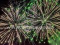 salut_dengoroda2016