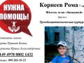 korneevroma1_1