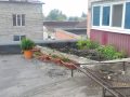 ogorodnadbibliotekoy2_1